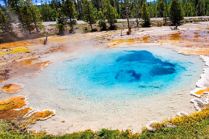 From Bozeman Express Yellowstone Full Day Tour