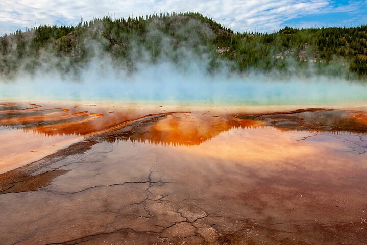 From Bozeman Express Yellowstone Full Day Tour