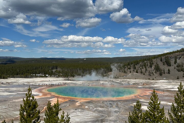 From Bozeman Express Yellowstone Full Day Tour