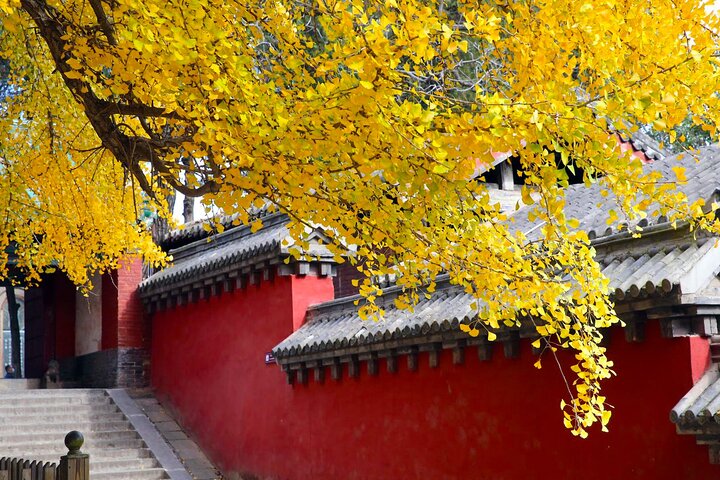 Luoyang Private 4WD Tour Adventure