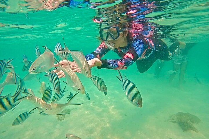 Koh Samui: Private Speedboat Koh Taen & Pig Island Snorkeling