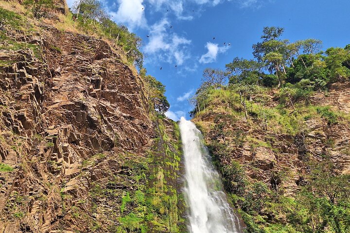 Day Tour to Discover Wli Agoumatsa West Africas Tallest Waterfall