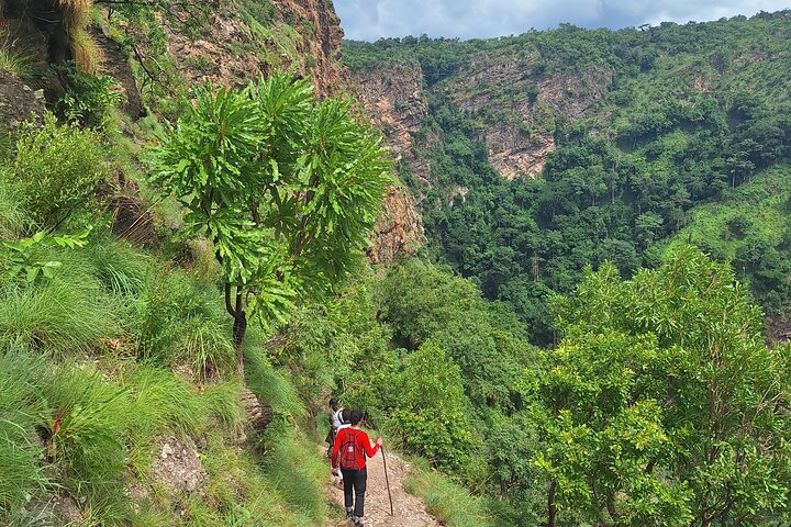Day Tour to Discover Wli Agoumatsa West Africas Tallest Waterfall