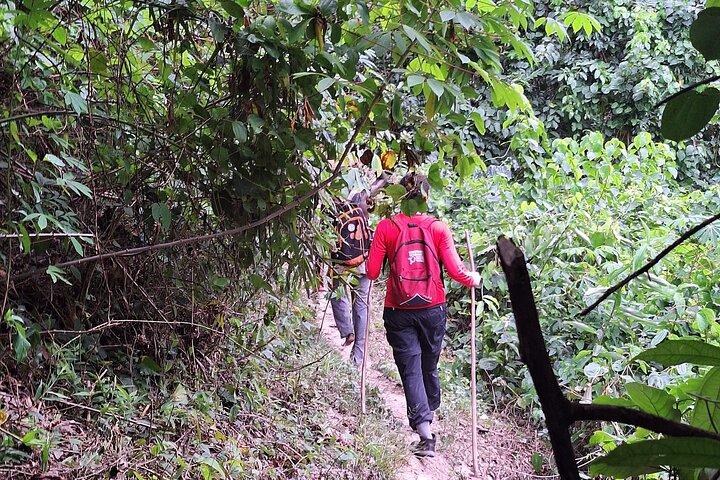 Day Tour to Discover Wli Agoumatsa West Africas Tallest Waterfall