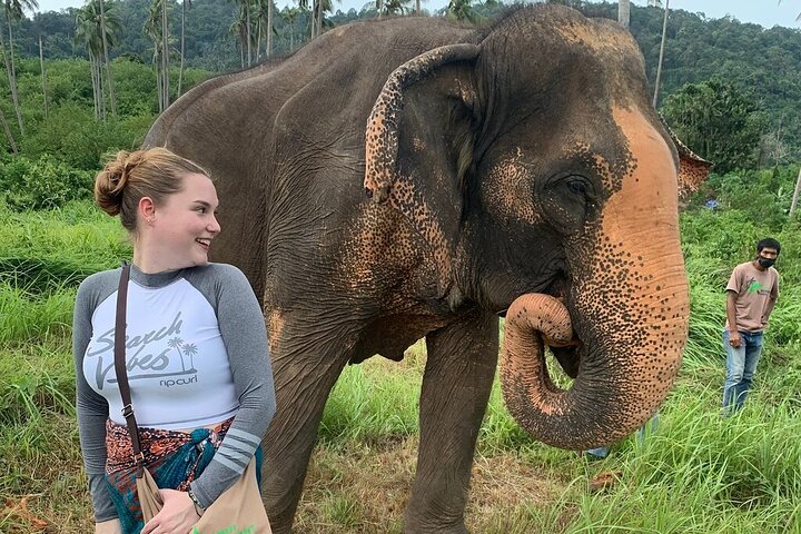 Koh Samui: Elephant Nature Care, the largest elephant sanctuary