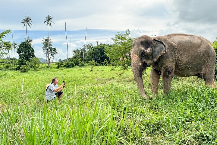 Koh Samui: Elephant Nature Care, the largest elephant sanctuary