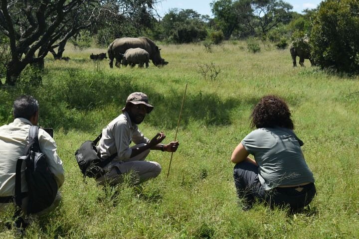 Full-Day Matobo Rhino Tracking & Rock Art from Bulawayo