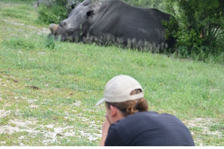 Full-Day Matobo Rhino Tracking & Rock Art from Bulawayo