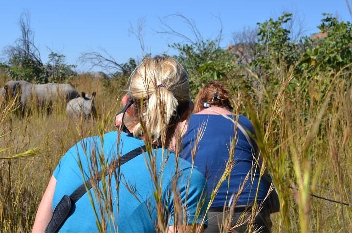 Full-Day Matobo Rhino Tracking & Rock Art from Bulawayo