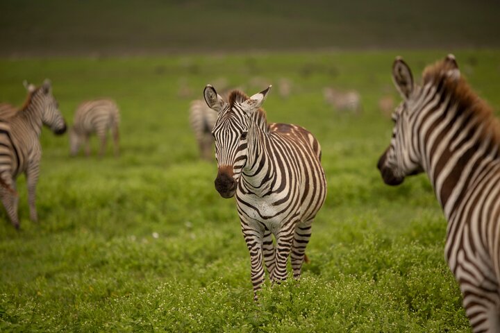 3 Days Private Budget Camping Tour