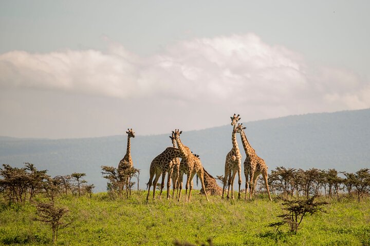 3 Days Private Budget Camping Tour