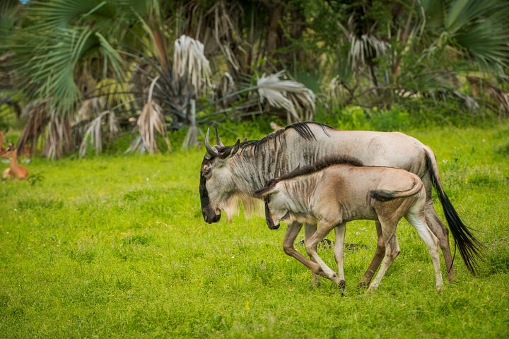3 Days Private Budget Camping Tour