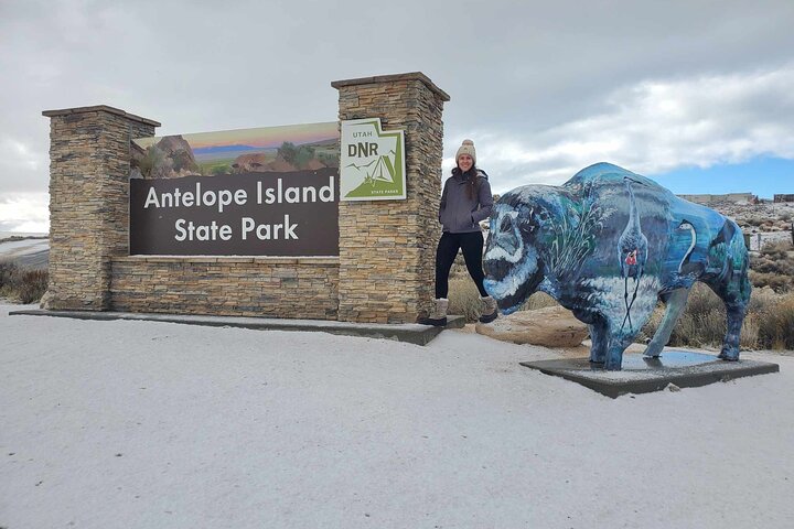 Great Salt Lake Safari - Discover Antelope Island