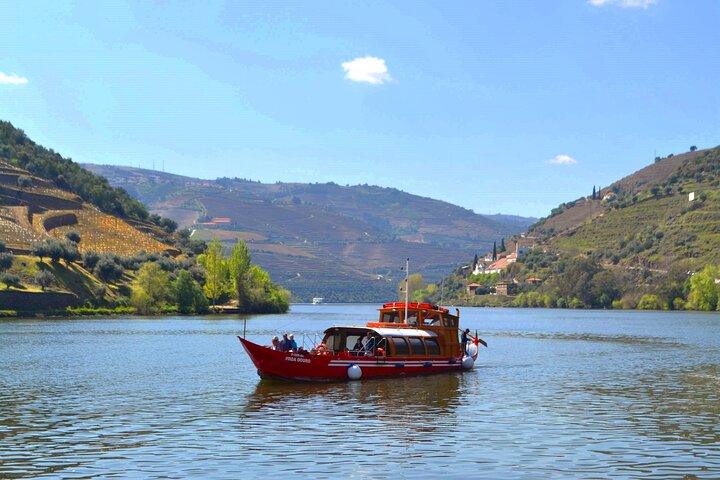Douro Valley Small-Group Wine Tour: 2 Wineries, Cruise & Lunch