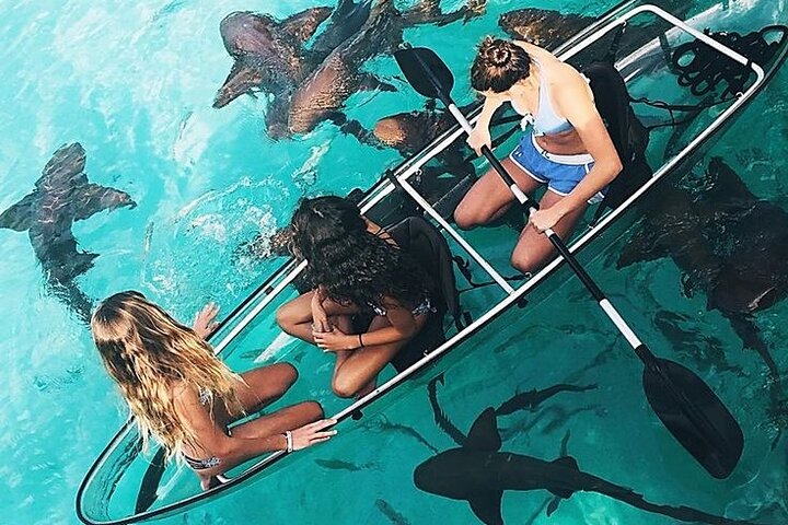 Exuma Island and Cays Tour