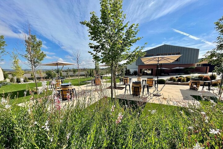 Wine Tasting and Aperitif in Bodegas Pedro Martinez Alesanco