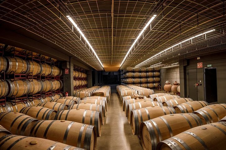 Wine Tasting and Aperitif in Bodegas Pedro Martinez Alesanco