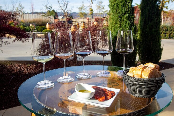 Wine Tasting and Aperitif in Bodegas Pedro Martinez Alesanco