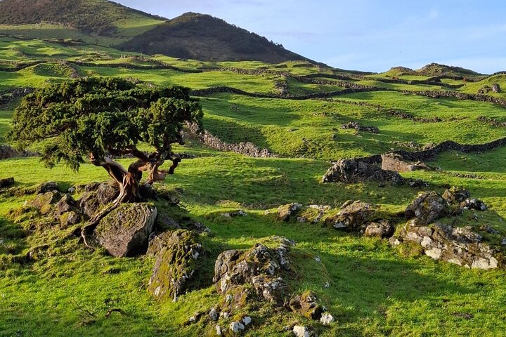 Pico Island highlights - Private tour (+ optional wine tasting)