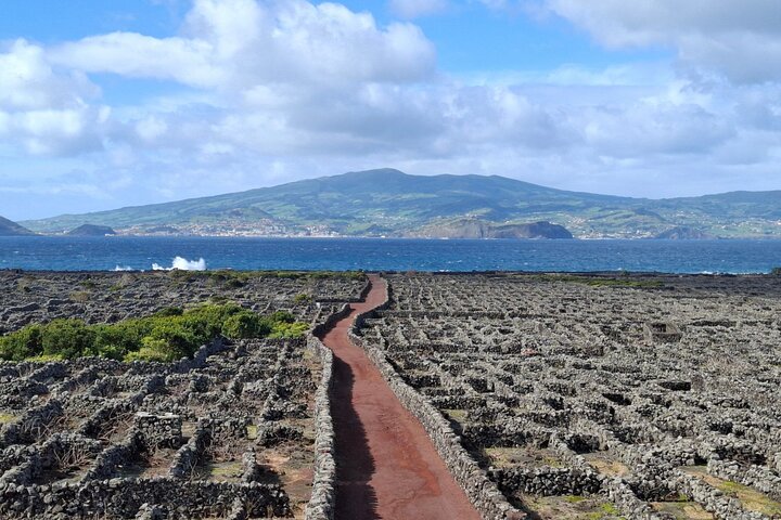 Pico Island highlights - Private tour (+ optional wine tasting)