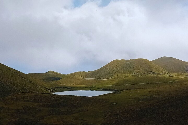 Pico Island highlights - Private tour (+ optional wine tasting)