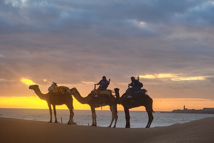 3 hours ride on camel at sunset