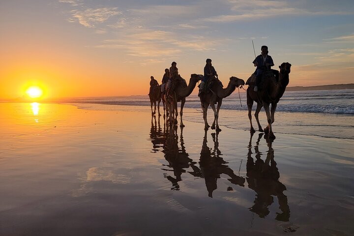 3 hours ride on camel at sunset