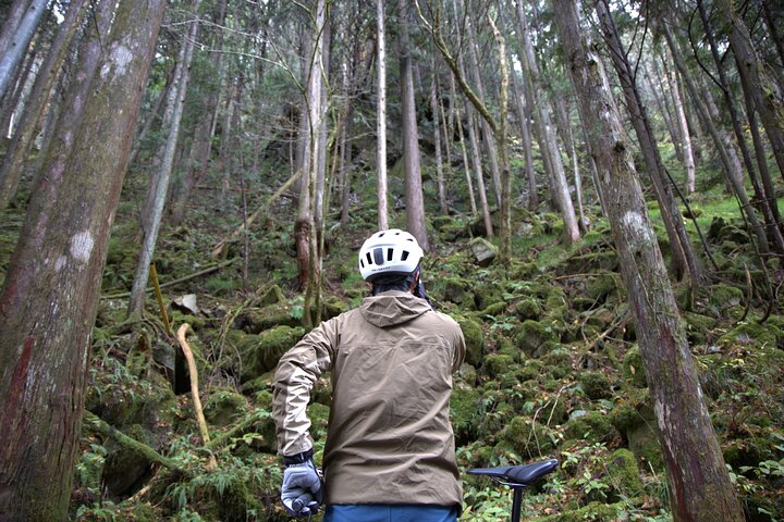 Hida Osaka Cycling Guide Tour Long Course Experience