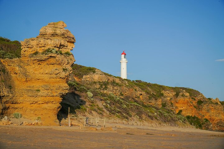 Great Ocean Road Discovery Tour-12 Apostles & Golden Hour Wonders