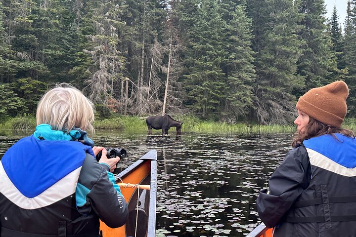 1 Day Canoeing Tour in Algonquin Park