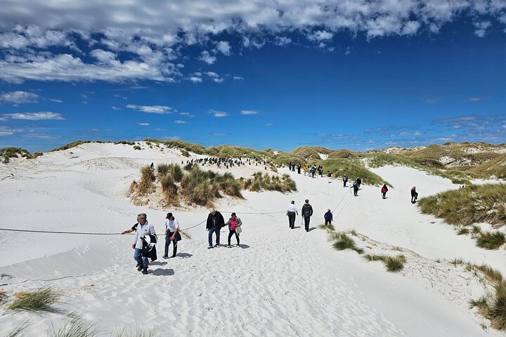 Falkland Islands Shared Tour Sightseeing with Penguins