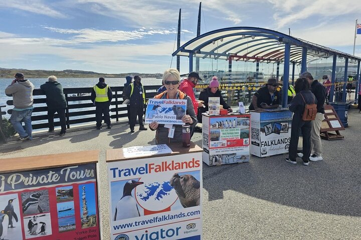 Falkland Islands Shared Tour Sightseeing with Penguins