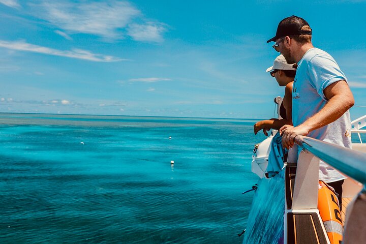 Half Day Great Barrier Reef Snorkeling Tour