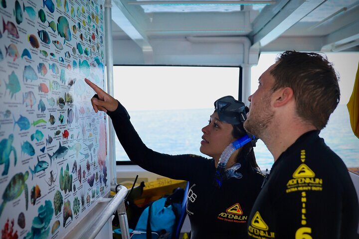 Half Day Great Barrier Reef Snorkeling Tour