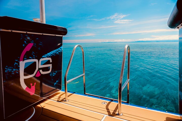 Half Day Great Barrier Reef Snorkeling Tour