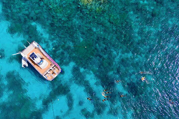 Half Day Great Barrier Reef Snorkeling Tour