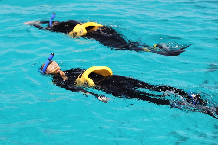 Half Day Great Barrier Reef Snorkeling Tour