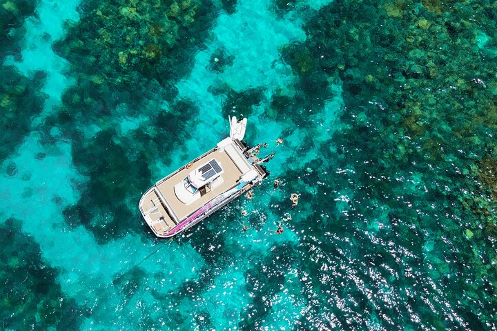 Half Day Great Barrier Reef Snorkeling Tour