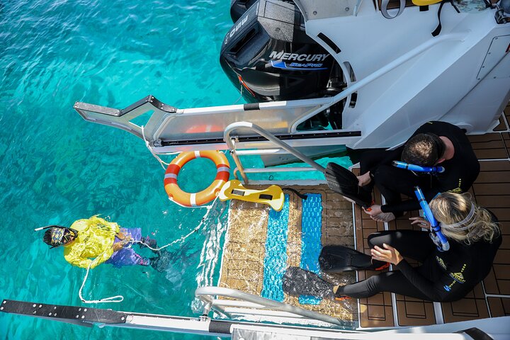Half Day Great Barrier Reef Snorkeling Tour