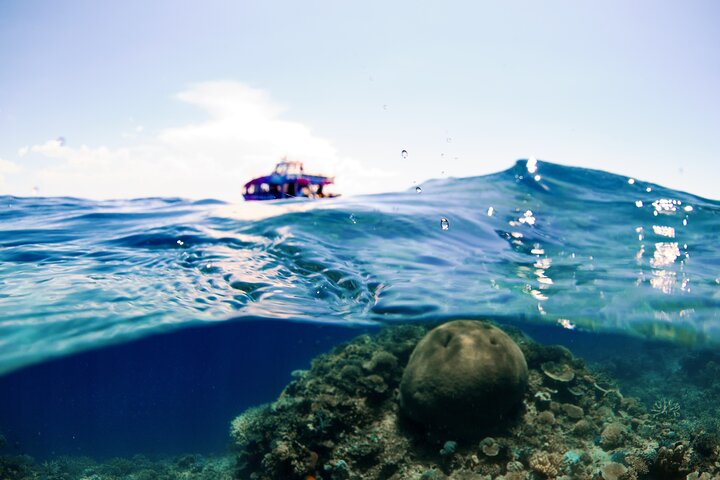 Half Day Great Barrier Reef Snorkeling Tour