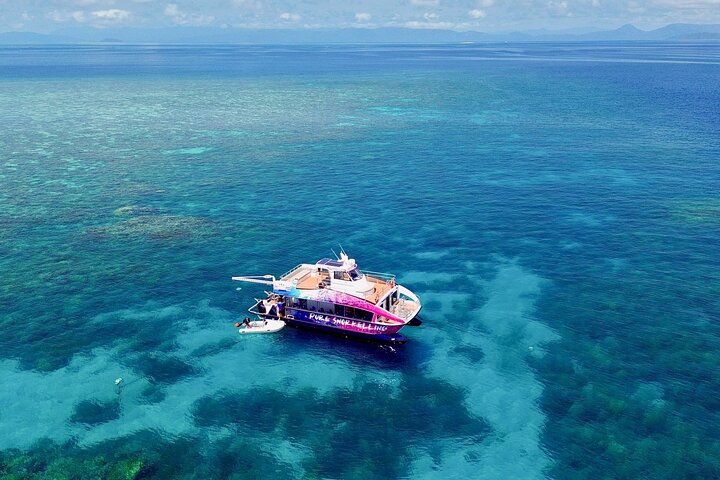 Half Day Great Barrier Reef Snorkeling Tour