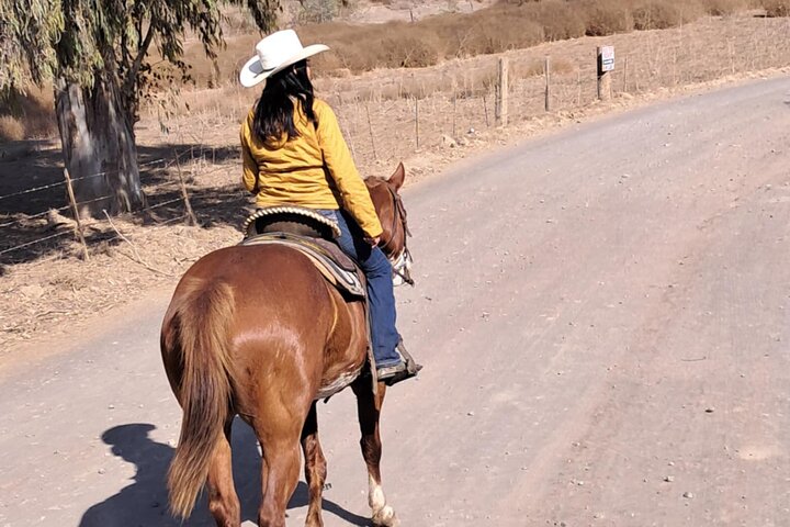 Rosarito/Paintball/Mountain Horses + Transportation
