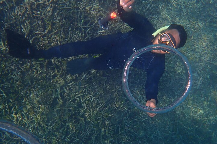 Full day snorkeling adventure around Koh Tao