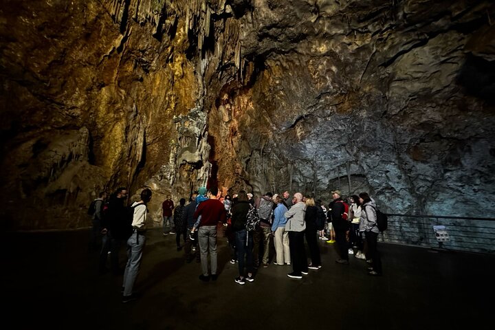 Alicante : Canelobre Caves and Busot Castle with Local Guide