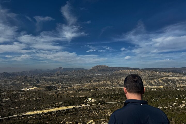 Alicante : Canelobre Caves and Busot Castle with Local Guide