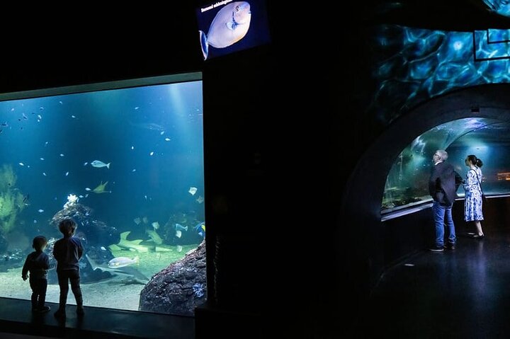 Gothenburg Universeum Ticket - Aquarium, Science, Wildlife, Zoo