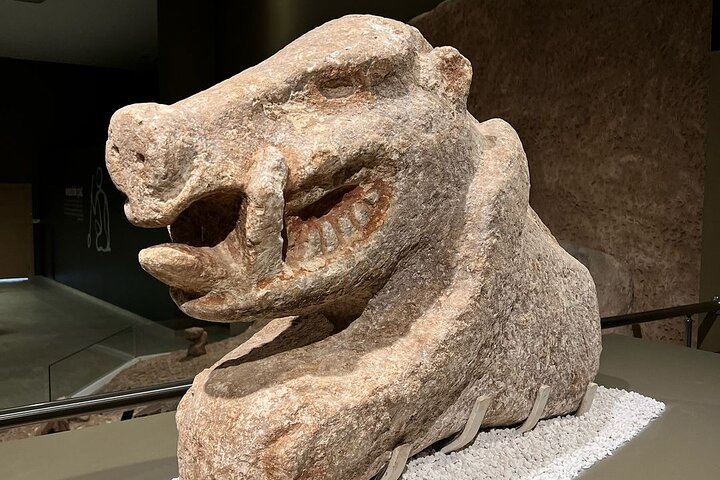 Daily Gobeklitepe Private Tour