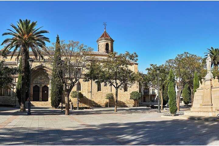 Visit Úbeda monumental and palatial