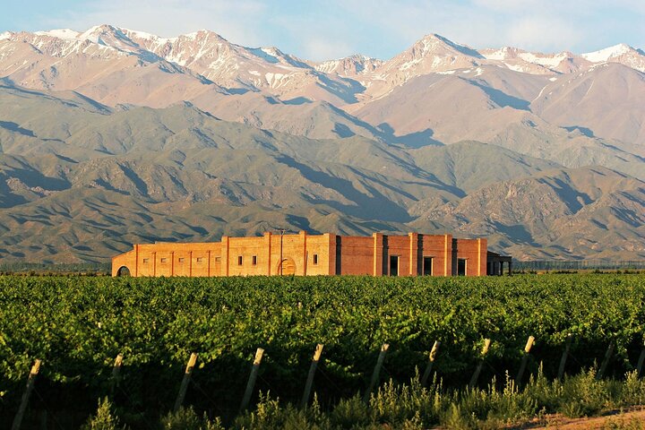 Uco Valley Gourmet Wine Tour