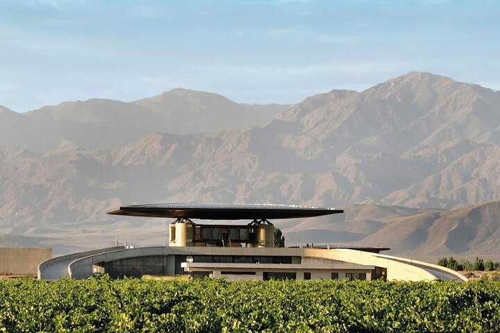 Uco Valley Gourmet Wine Tour